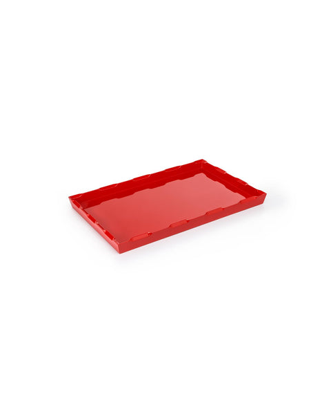 MEDIUM DENSTON TRAY